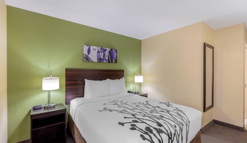 Room, 1 Queen Bed, Accessible, Non Smoking (Roll-In Shower)