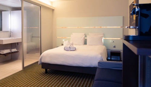 Superior Room, 1 Double Bed