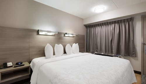 Superior Room, 1 King Bed, Accessible (Roll-In Shower, Smoke Free)