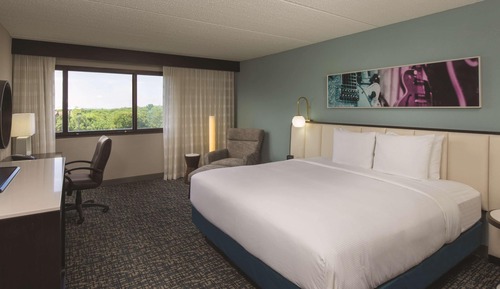 Deluxe Room, 1 King Bed, Non Smoking