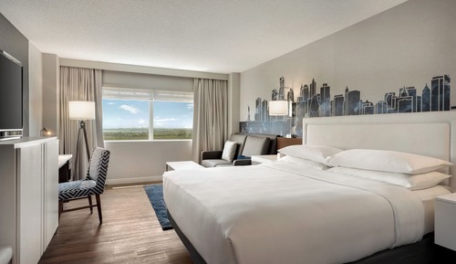Room, 1 King Bed