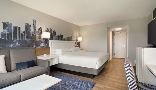 Room, 1 King Bed with Sofa bed