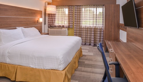 Room, 1 King Bed, Roll-in Shower (Communications, Mobil, Roll-In Shower)