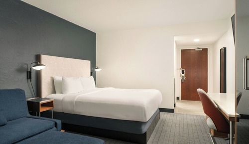 Room, 1 King Bed with Sofa bed