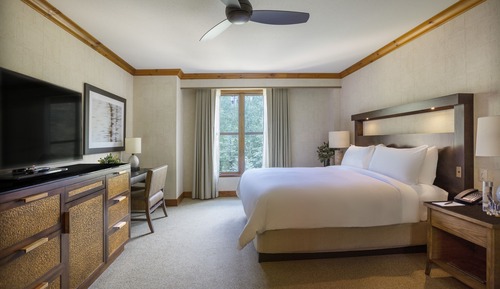 Room, 1 King Bed (Pure Room)