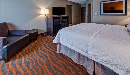 Room, 1 King Bed