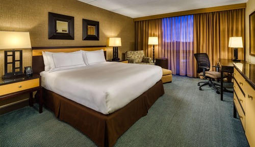 Premium Room, 1 King Bed, Accessible, Non Smoking