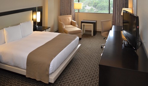 Room, 1 King Bed, Accessible, Non Smoking