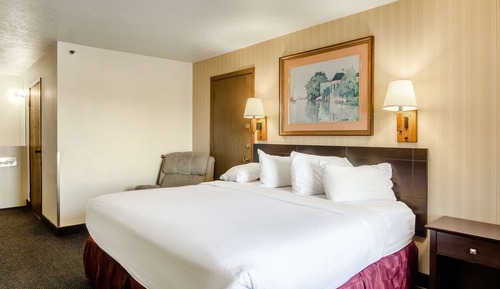Room, 1 King Bed, Non Smoking, Jetted Tub