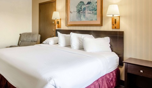 Room, 1 King Bed, Non Smoking, Kitchenette