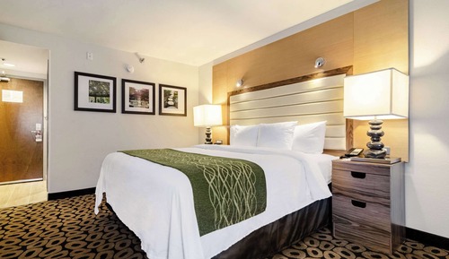 Room, 1 Queen Bed, Accessible, Non Smoking