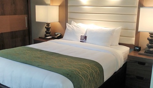 Standard Room, 1 Queen Bed, Accessible, Non Smoking