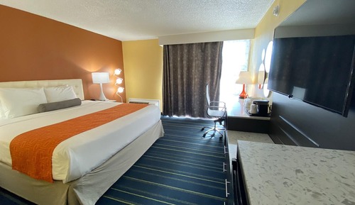 Single Room, 1 King Bed, Accessible, Non Smoking