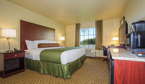 Room, 1 King Bed, Accessible, Non Smoking