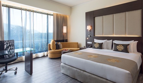 Deluxe Room, Hill View (Hill View)