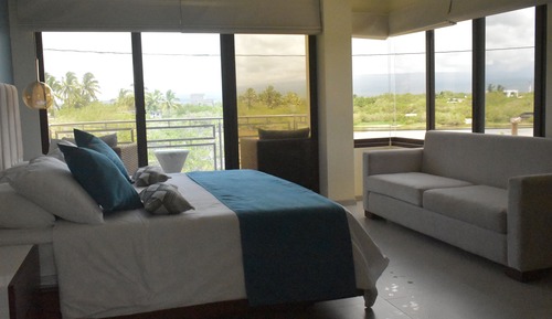 Superior Room, 1 King Bed, Lake View