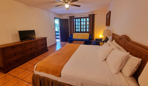 Junior Studio Suite, 1 King Bed, Refrigerator, Garden View
