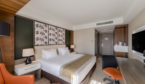 Premium Room, 1 King Bed, Smoking
