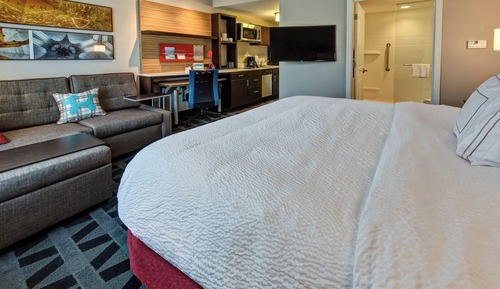 Studio, 1 King Bed with Sofa bed (Mobility Accessible, Tub)