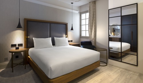 Room, 1 King Bed