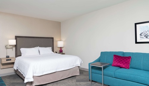 Room, 1 King Bed with Sofa bed