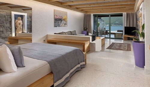 Exclusive Swim-up Room