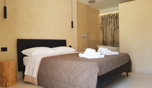 Luxury Suite