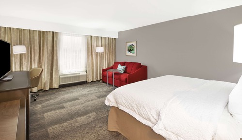 Room, 1 King Bed with Sofa bed, Non Smoking, Refrigerator & Microwave