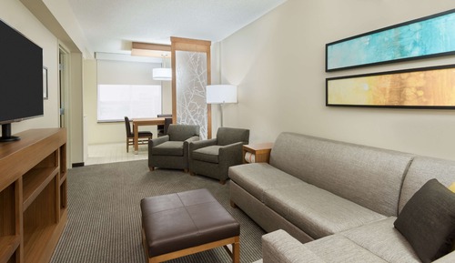 Suite, 1 King Bed with Sofa bed