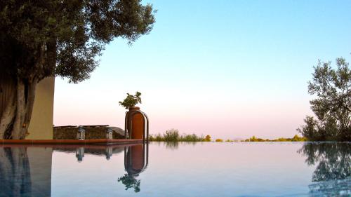 One-Bedroom Villa Olive - Split Level with Private Pool