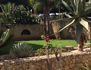 Apartment with Garden View