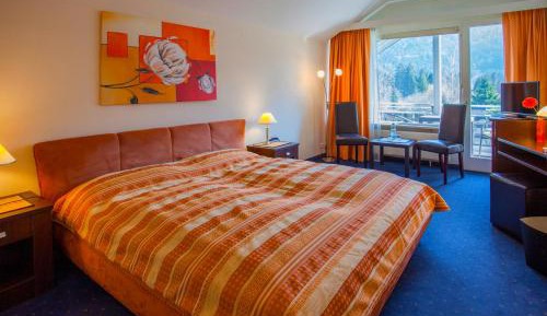Double Room with Mountain View