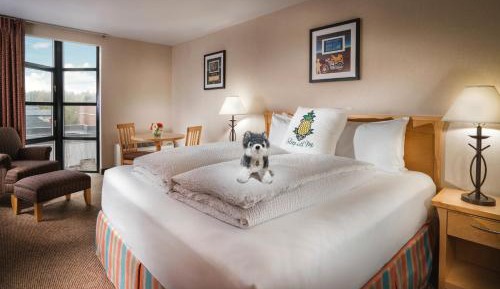 Deluxe King Room