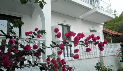 Studio with Terrace