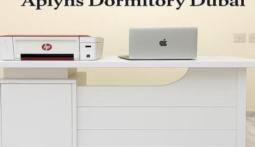 Bunk Bed in Mixed Dormitory Room