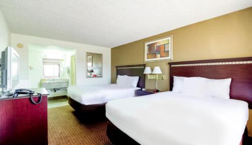 Superior Queen Room