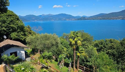 Panorama with lake view