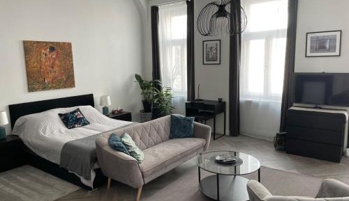 One-bedroom Loft Apartment 