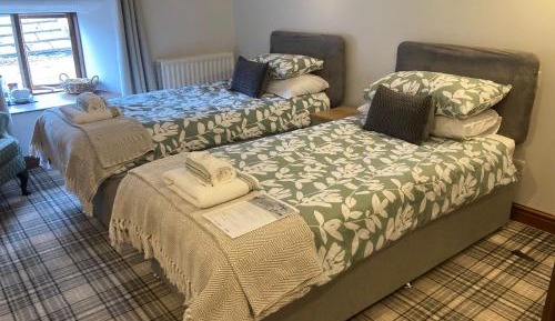 Budget Twin Room