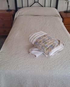 Single Bed in Mixed Dormitory Room