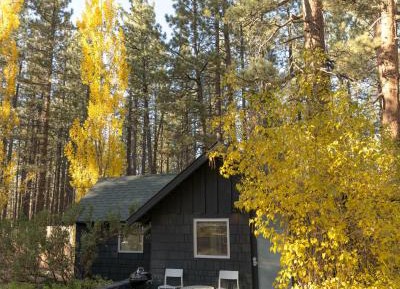 One-Bedroom Chalet