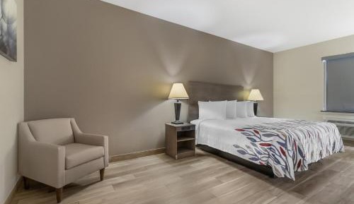 Deluxe King Room Disability Access Roll-In Shower Non-Smoking