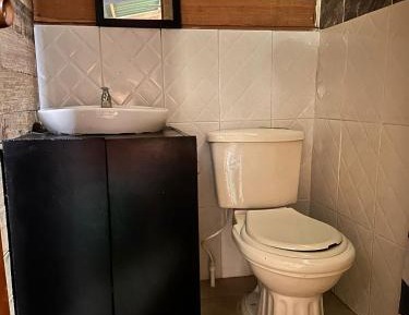 Bunk Bed in Mixed Dormitory Room