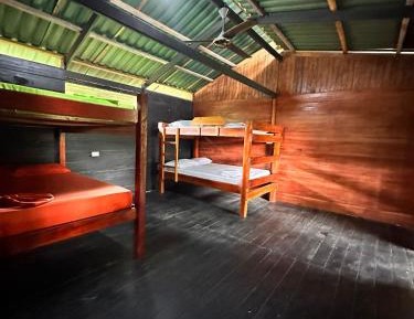 Bunk Bed in Mixed Dormitory Room