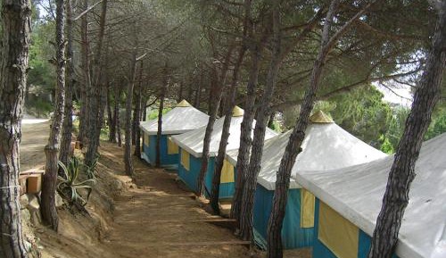 Tent with Shared Bathroom