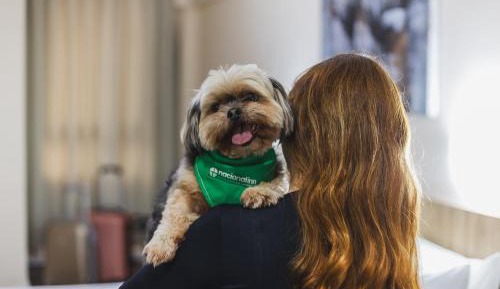 Standard Triple Room with Single Beds