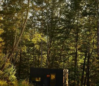 Cabin with Queen Bed and View