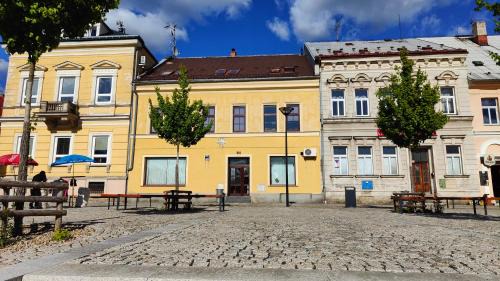 Three-Bedroom Apartment with View