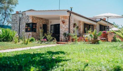 One-Bedroom Villa