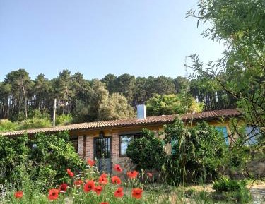 Four-Bedroom Holiday Home